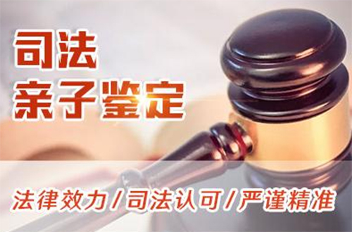 眉山司法亲子鉴定基本流程,眉山司法DNA鉴定准确性高吗